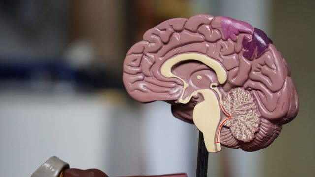 Hidden Brain Changes Occur in People With Heart Disease - Technology Networks