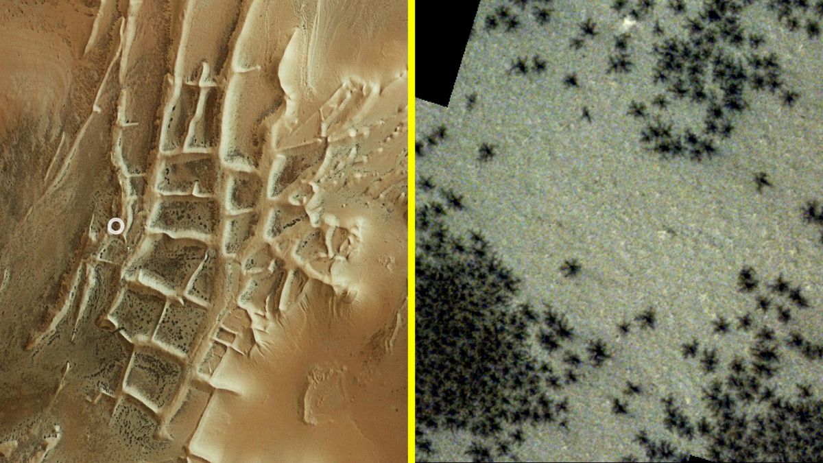 Hundreds of black 'spiders' spotted in mysterious 'Inca City' on Mars in new satellite photos - Livescience.com