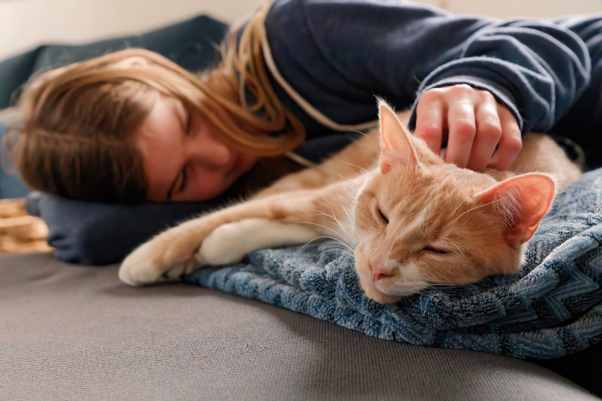 New Study Shows Surprising Link Between Cat Parents and Serious Mental Disorder - Yahoo Life