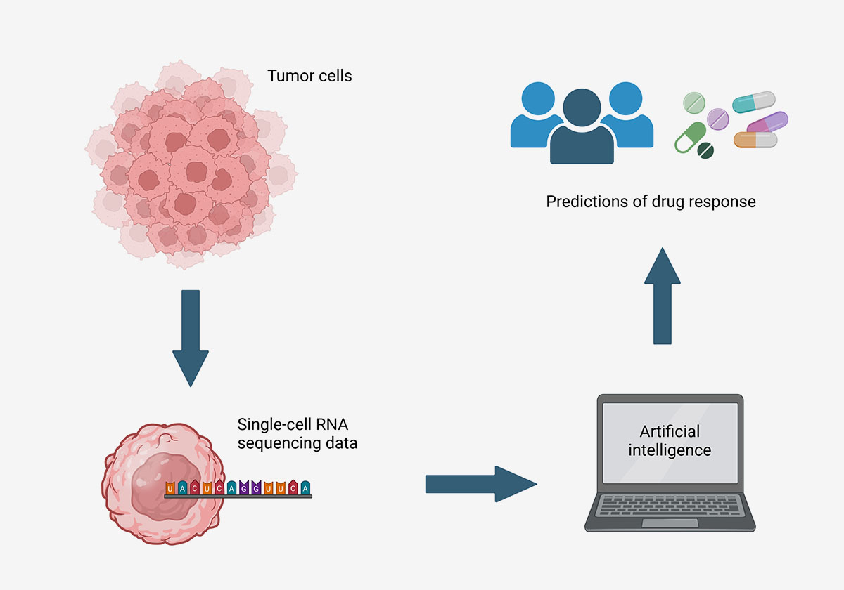NIH researchers develop AI tool with potential to more precisely match cancer drugs to patients - National Institutes of Health (NIH) (.gov)