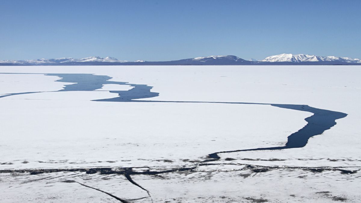 Yellowstone Lake's weird resistance to climate change could be about to crack - Livescience.com