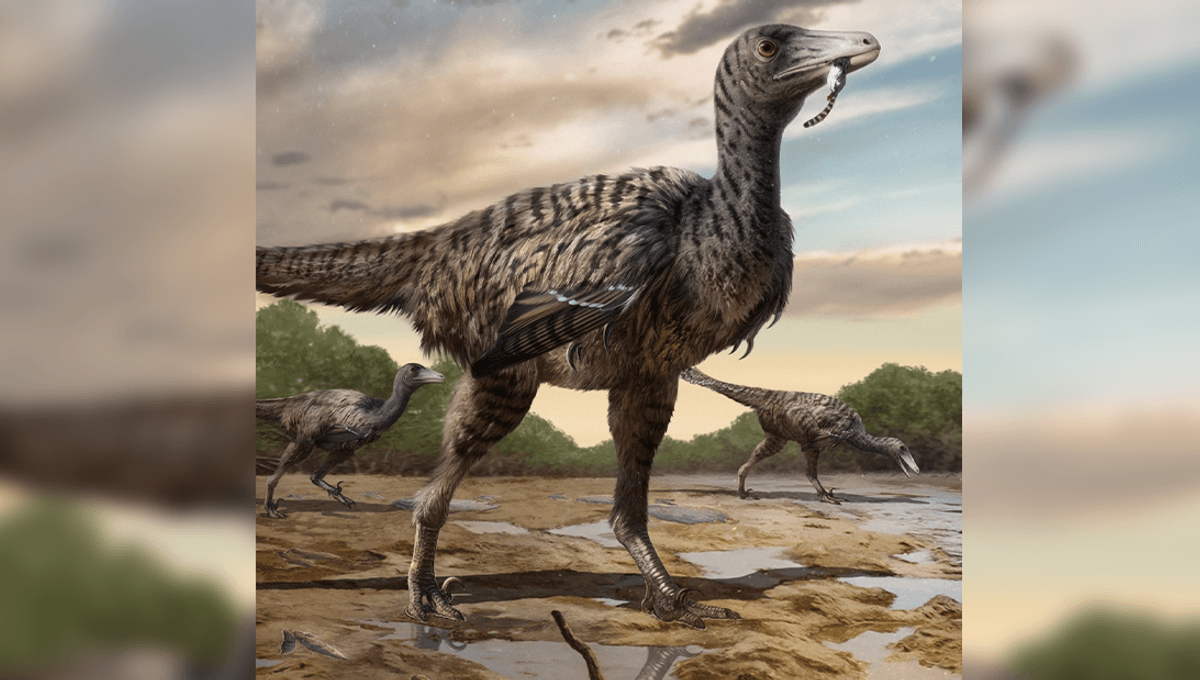 Meet A Megaraptor: New Dinosaur Footprints Reveal Raptors Grew Scarily Big - IFLScience