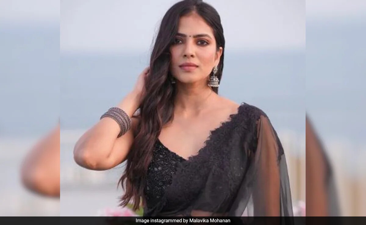 Malavika Mohanan Shuts Down A Troll Asking Her To Learn Acting: "I'll Go The Day..." - NDTV Movies