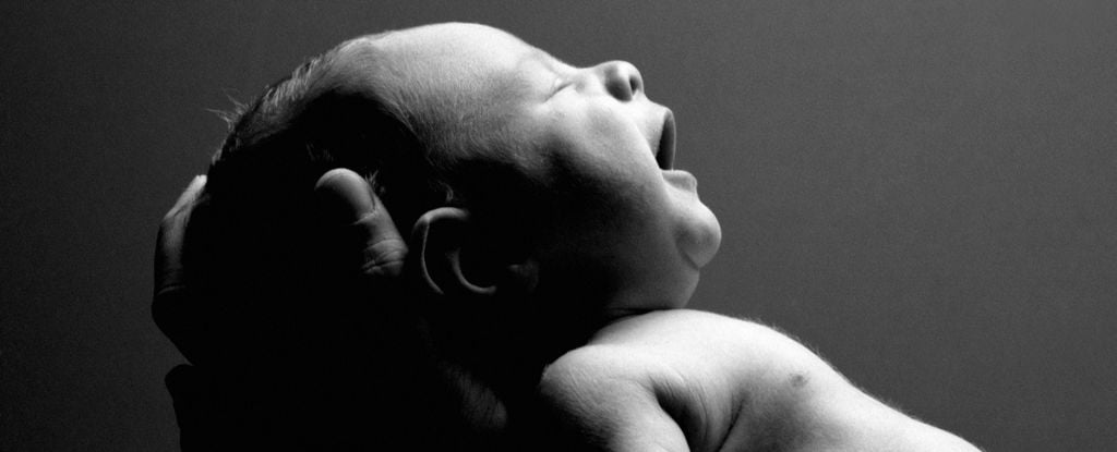 Brains Scans Reveal a Massive Surge of Connectivity When Babies Are Born - ScienceAlert