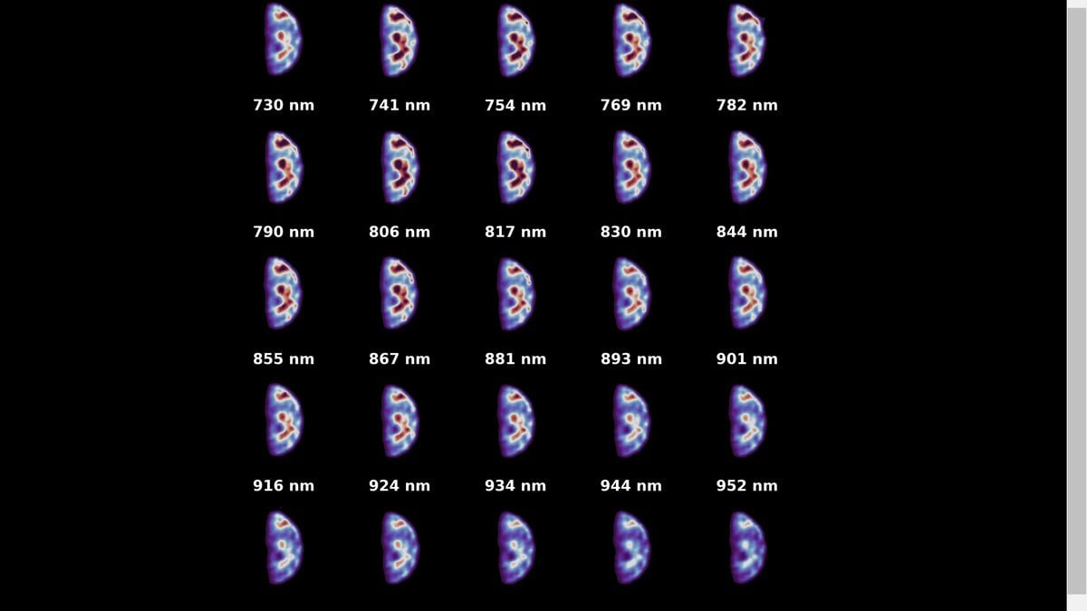 Earth sure looks spooky in these 'hyperspectral' images from Europe's Hera asteroid probe - Space.com