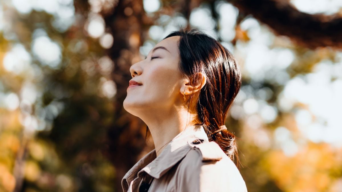 'A direct relationship between your sense of sight and recovery rate': Biologist Kathy Willis on why looking at nature can speed up healing - Livescience.com