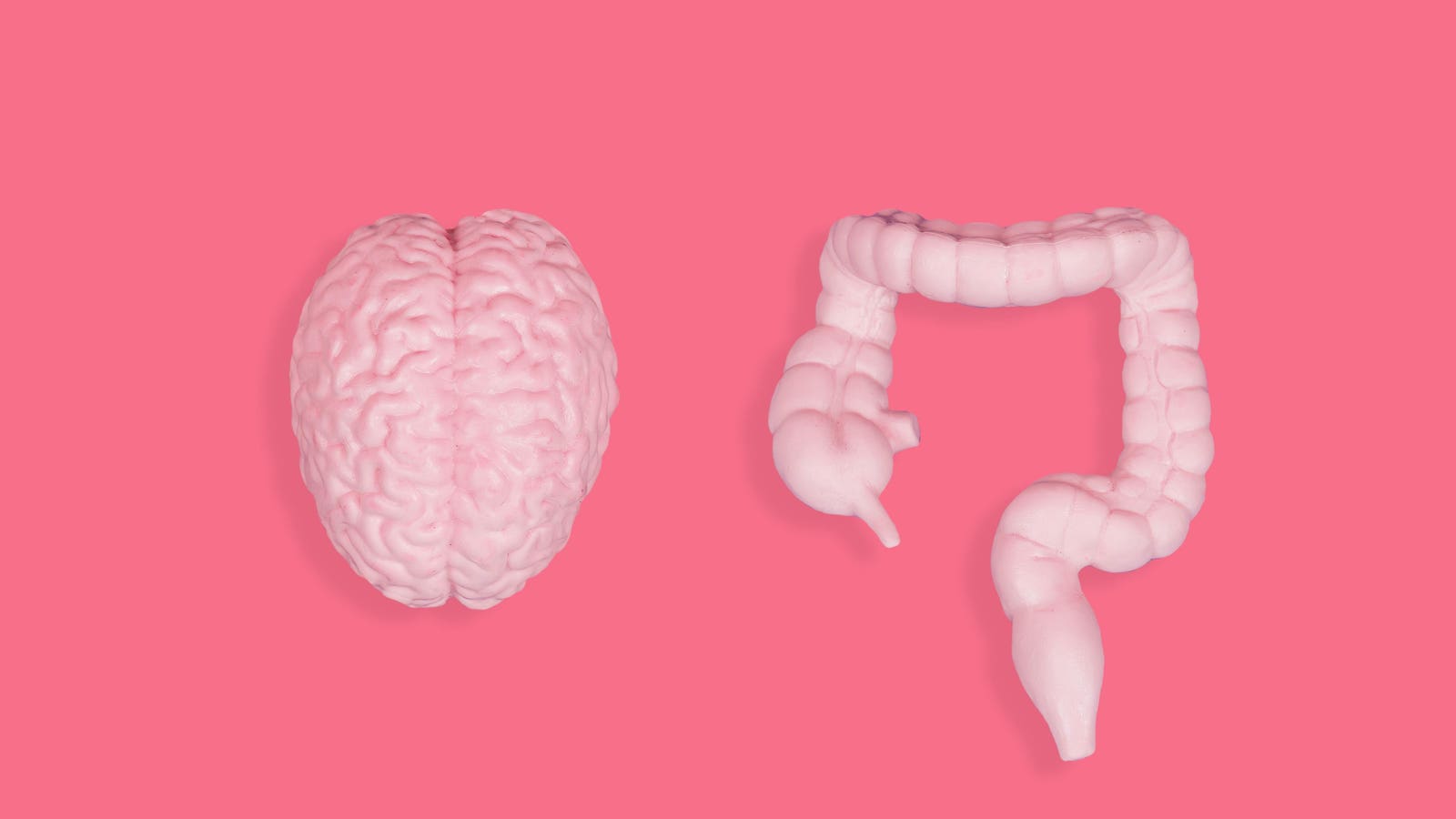 3 Ways Your Gut Secretly Affects Your Mental Health—By A Psychologist - Forbes