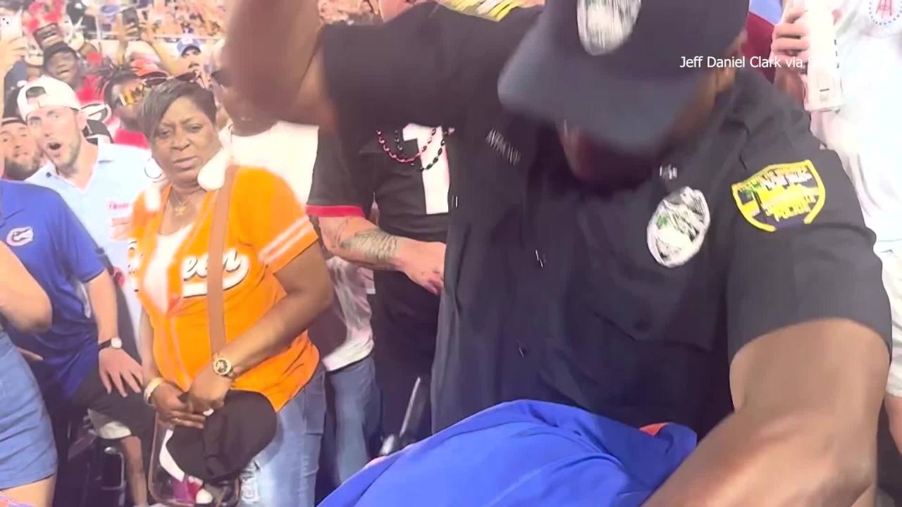 Disturbing video shows Florida deputies repeatedly punch fans at UF-Georgia game - WFLA