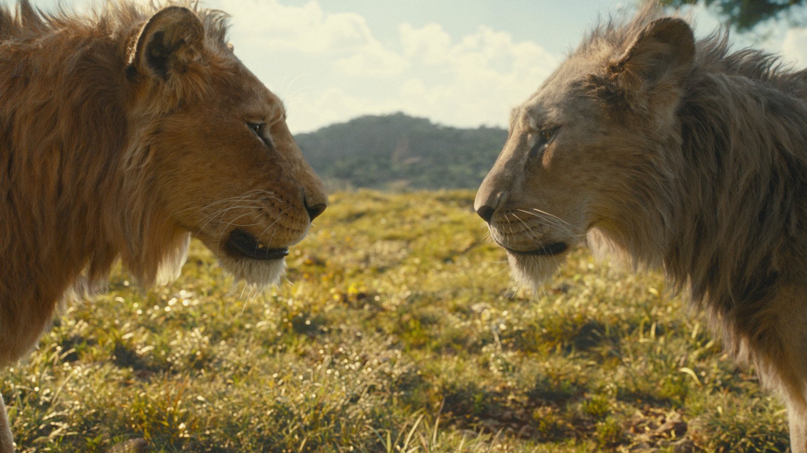 Mufasa: The Lion King Repeats The Same Ridiculous Sin As Solo: A Star Wars Story - SlashFilm