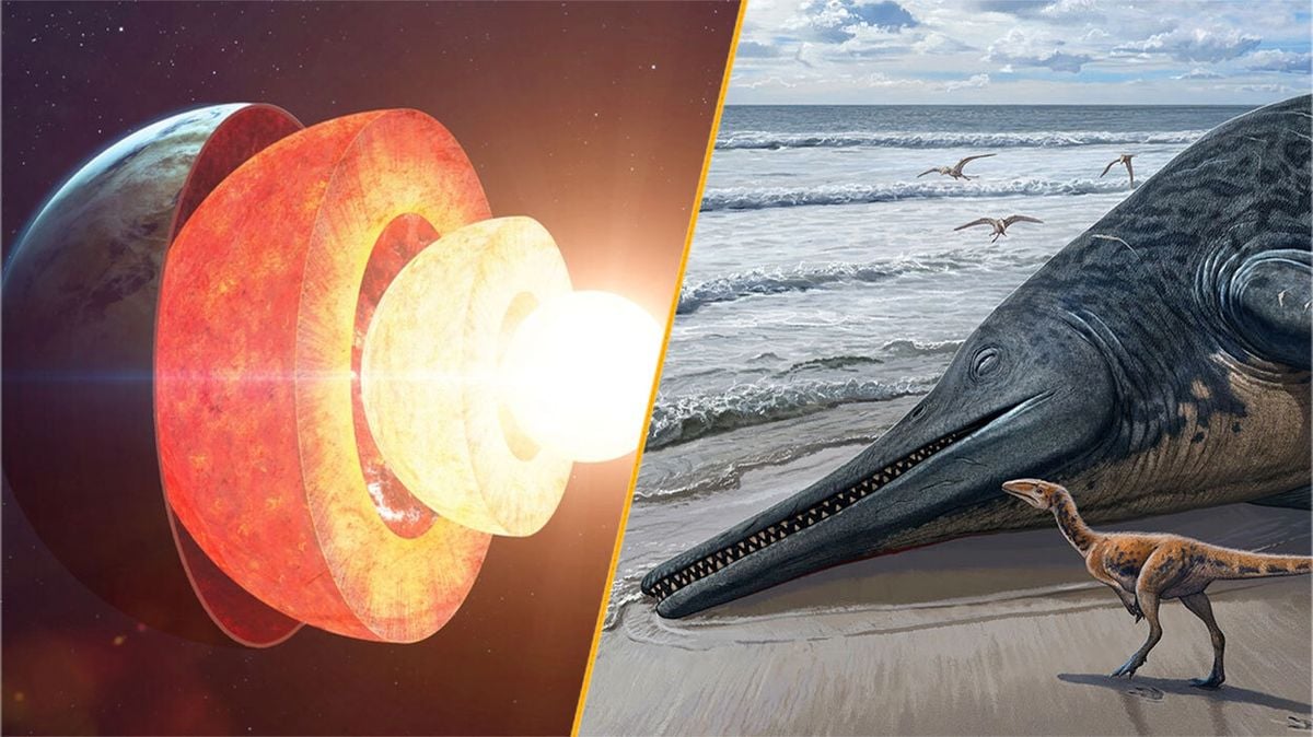 'Spiders on Mars' and ancient sea monsters: 5 of the biggest science stories you read in 2024 - Livescience.com